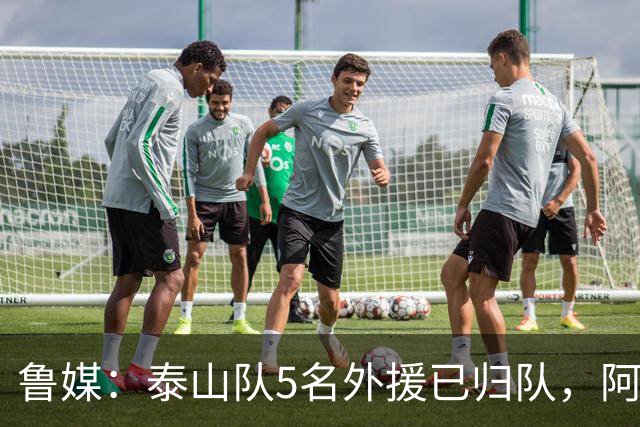 鲁媒：泰山队5名外援已归队，阿尔瓦罗6月份复出难度比较大